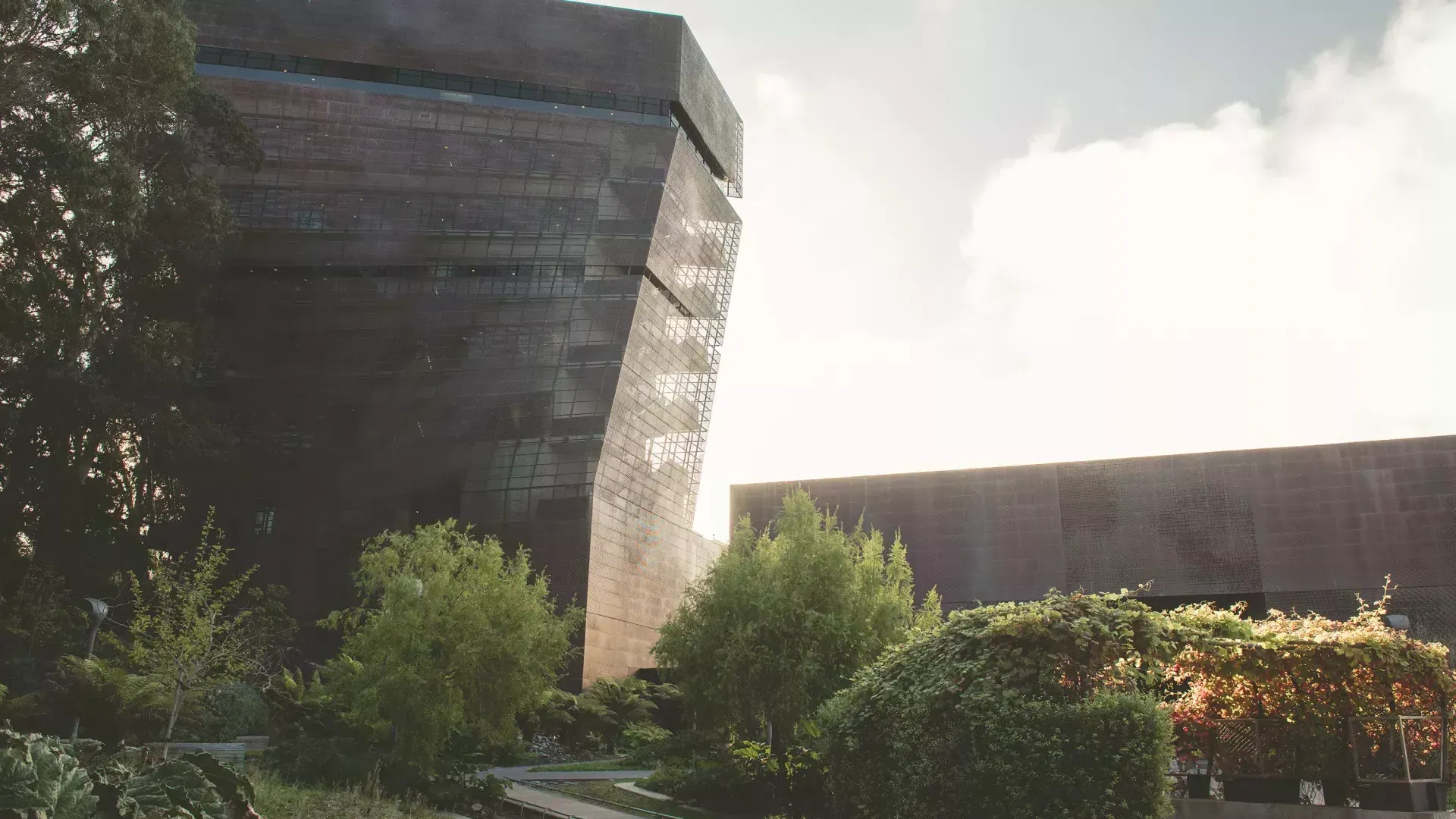 Exterior of de Young Museum 